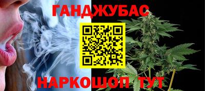 крисы Гай