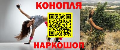 крисы Гай