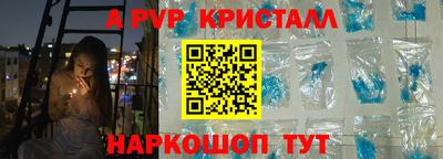 крисы Гай