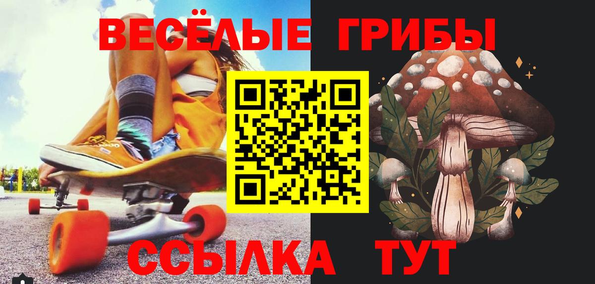 Псилоцибиновые грибы Cubensis Нерюнгри