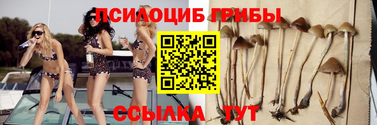 Нерюнгри  Псилоцибиновые грибы мухоморы  Вход с VPN  Галлюциногенные грибы мицелий 